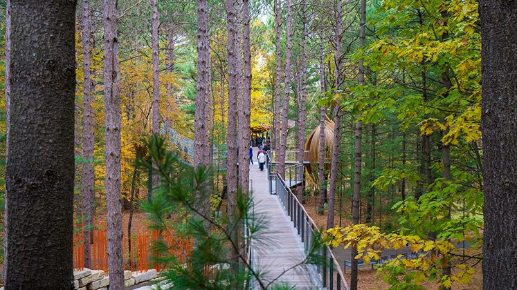 Dow Gardens & Whiting Forest