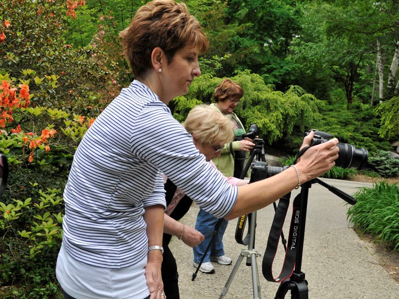 Photographers taking pictures outside