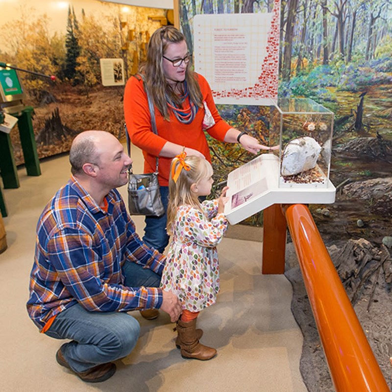 Dow Museum Exhibit