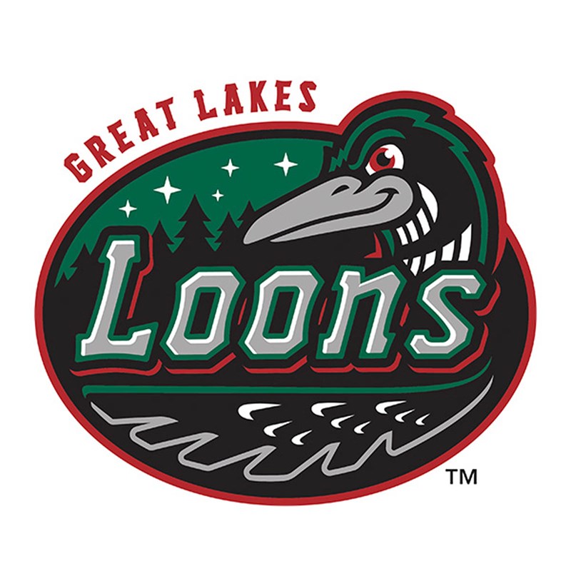 Great Lakes Loons