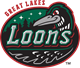 Great Lakes Loons
