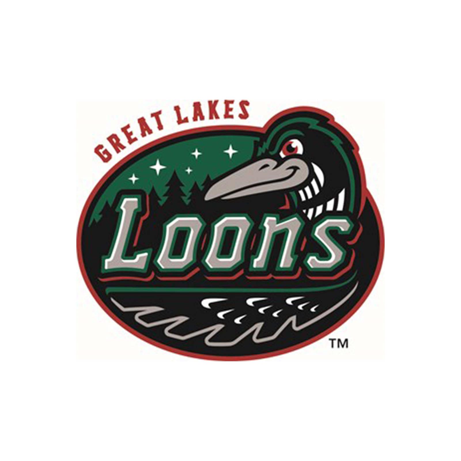 Great Lakes Loons