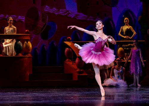 The Nutcracker