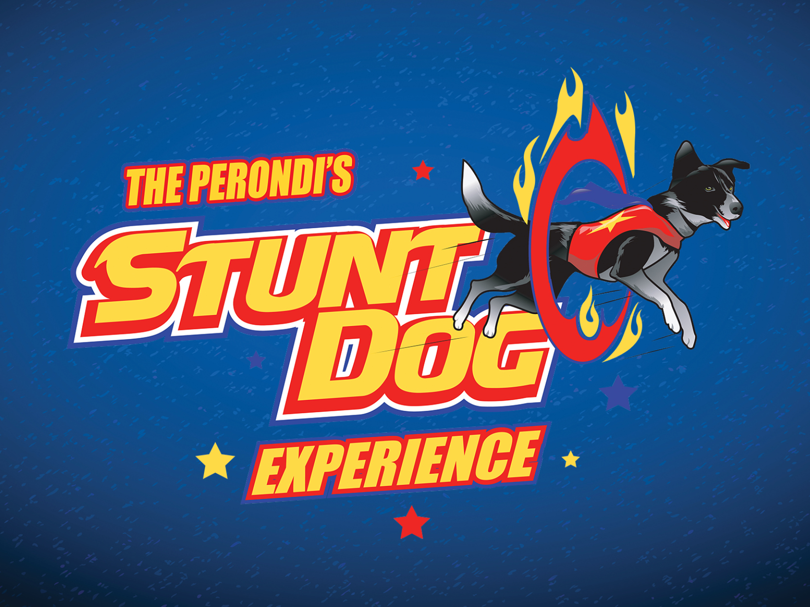 Stunt Dogs Experience